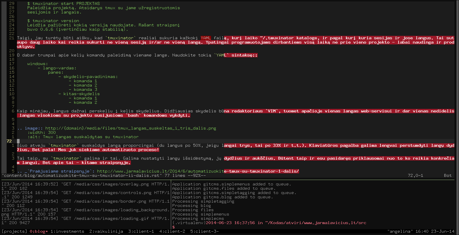  Tmux langas suskaldytas su tmuxinator